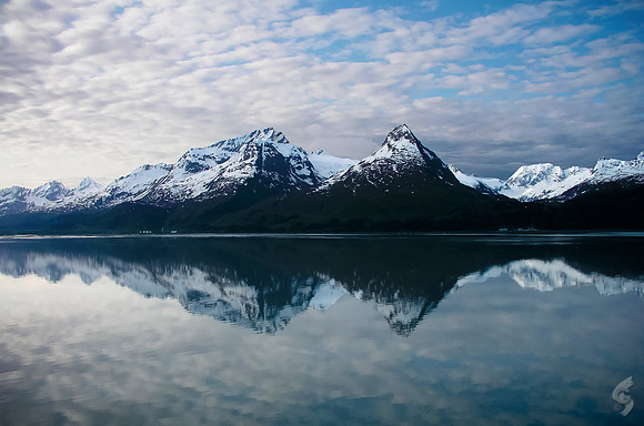 Reflections